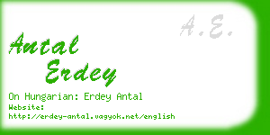 antal erdey business card